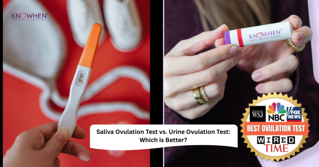 Saliva Ovulation Test vs. Urine Ovulation Test Which is Better