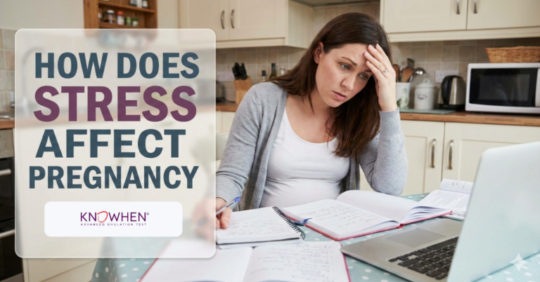 A stressed pregnant woman sitting at a kitchen table with a laptop and notebooks; text overlay reads "How Does Stress Affect Pregnancy."
